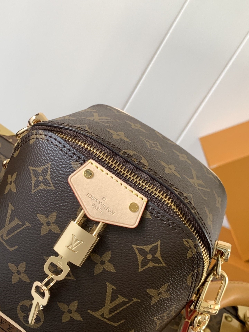 LV Satchel Bags